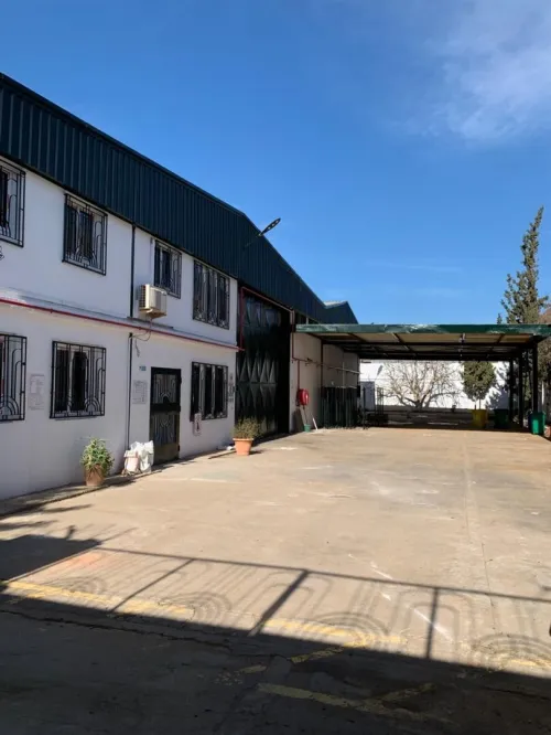 Location Hangar - Usine Oran Oran