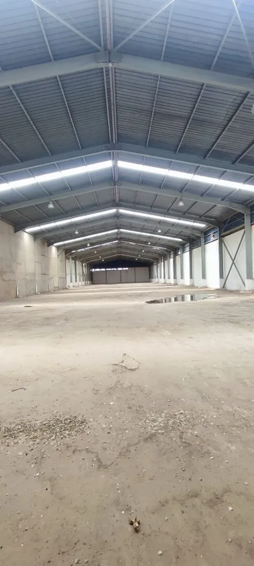 Location Hangar Oran Es senia