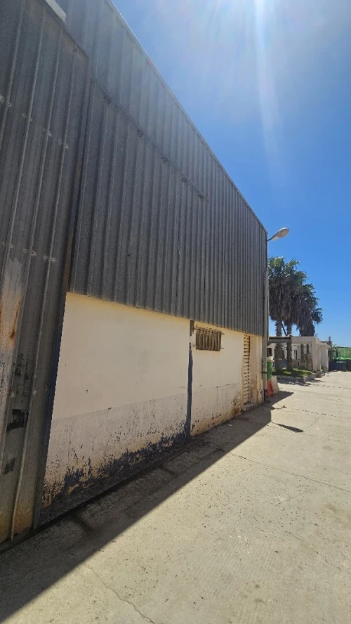 Location Hangar - Usine Oran Oran
