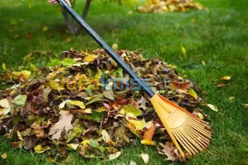 Service Nettoyage et jardinage 