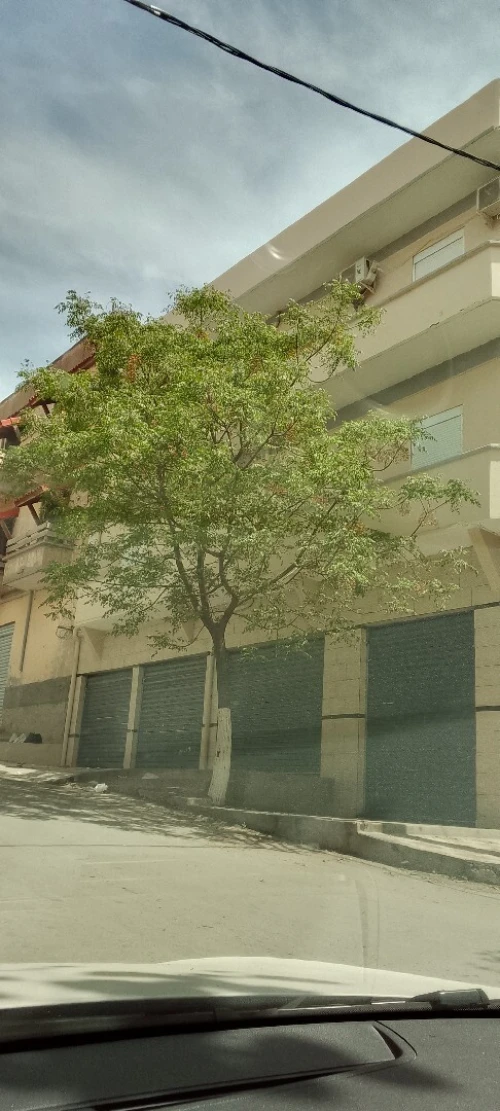 Vente Villa Sétif Setif