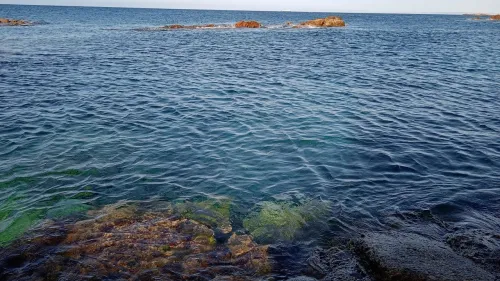 Location Villa Oran Arzew