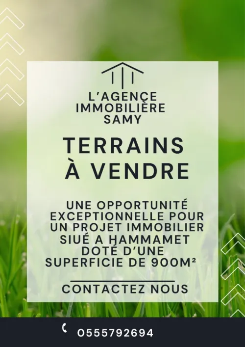 Vente Terrain Alger Hammamet