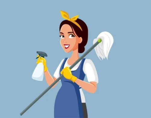 Offre d'emploi femme de ménage 