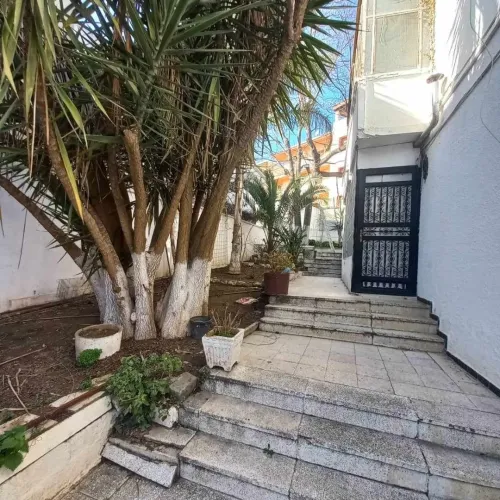 Vente Terrain Alger Bouzareah