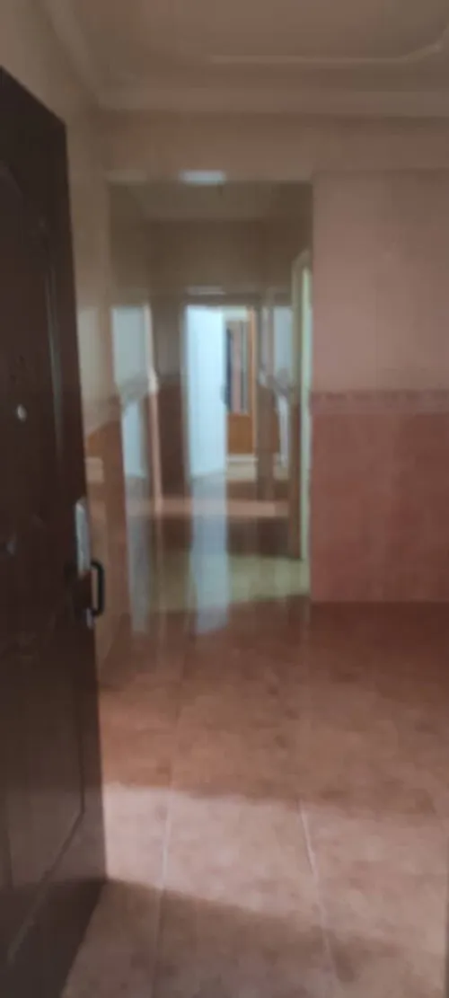 Location Appartement F3 Alger Cheraga