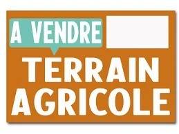 Vente Terrain Tipaza Sidi amar