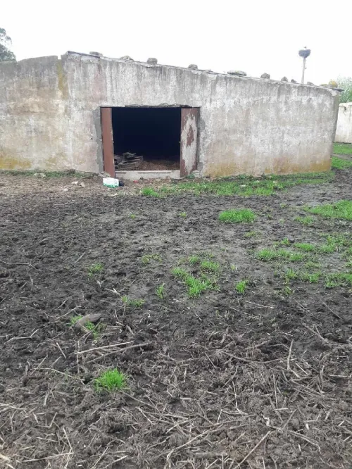 Location Local El Tarf Berrihane