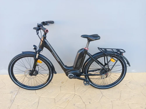 Vélo électrique Bosch winora
