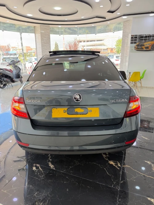 Skoda Octavia 2019 Clever