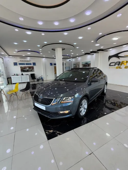 Skoda Octavia 2019 Clever