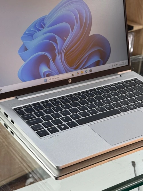 HP PROBOOK 440 G10 I5 1334U 16GO 256GO SSD NVME