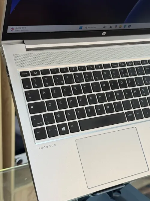 HP PROBOOK 455 G8 AMD RYZEN 5 5600U 16GO 512GO SSD NVME