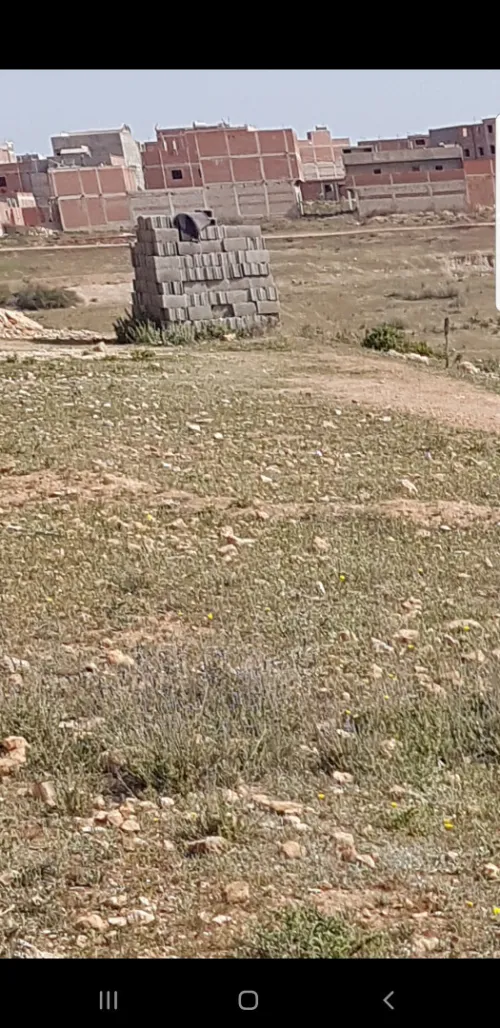 Vente Terrain Tlemcen Ghazaouet
