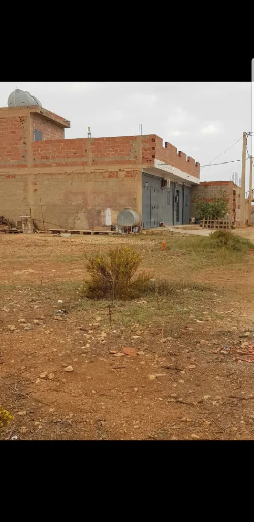Vente Terrain Tlemcen Ghazaouet