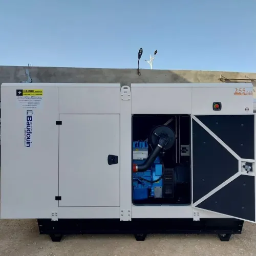 Groupe Electrogène Baudouin 255Kva