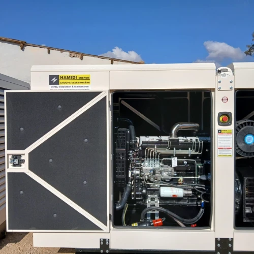 Groupe Electrogène Ricardo 50Kva 