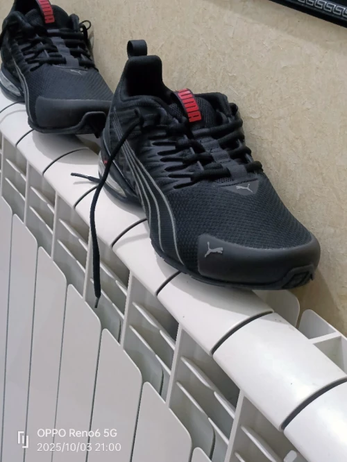 Basket Puma