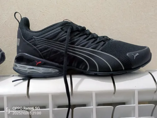 Basket Puma