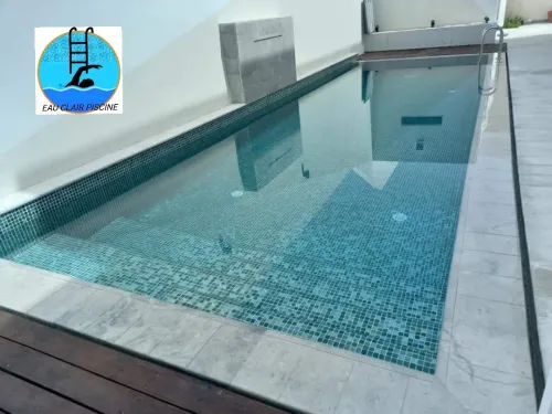 RÉALISATION DES PISCINES انشاء مسابح