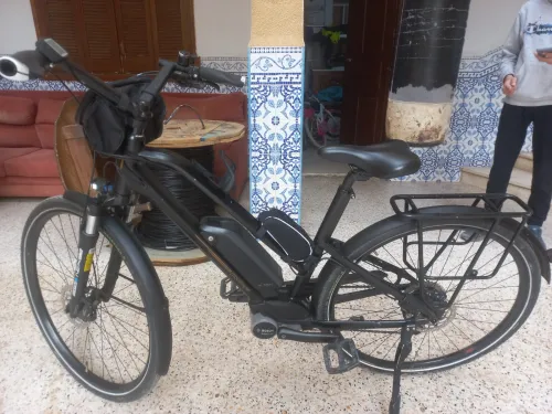     Velo electric