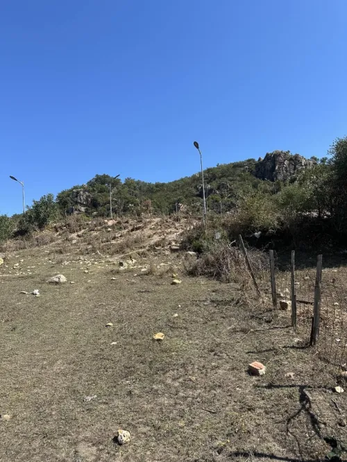 Vente Terrain El Tarf El aioun
