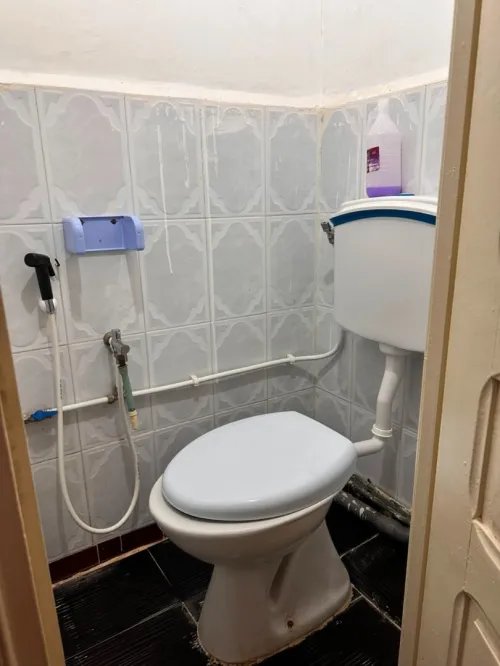 Location Appartement F5 Alger Bologhine