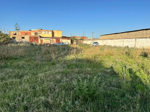 Vente Terrain Alger Bordj el kiffan