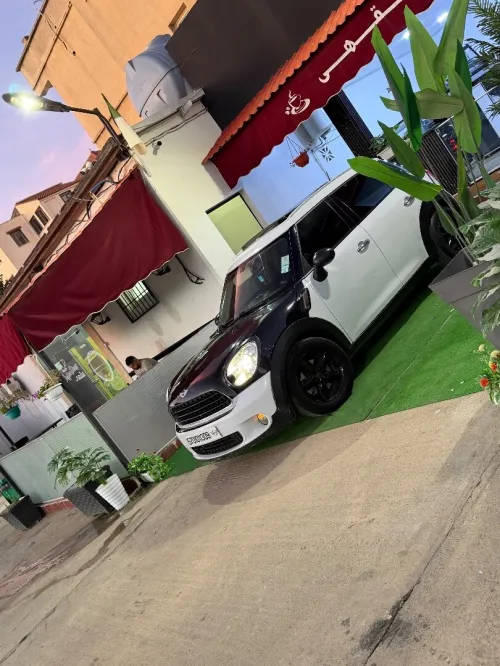 Mini Mini 2013 
