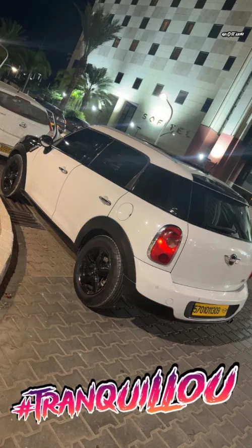Mini Mini 2013 