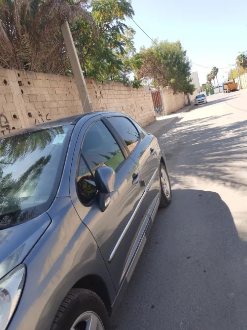 Peugeot 207 2010 2010