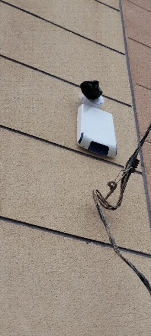 INSTALATION CAMERA DE SURVEILLANCE ET RESEUX INFORMATIQUE TÉLÉPHONIQUE