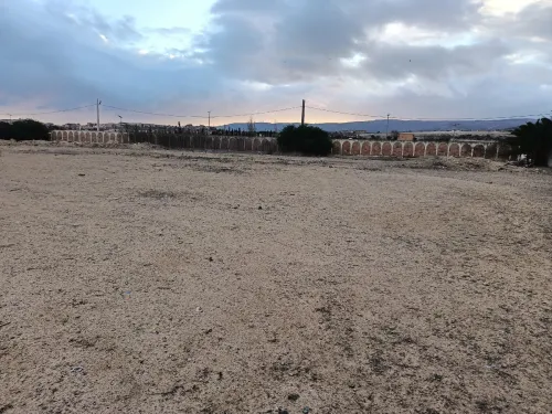 Vente Terrain Oran Ain el turck