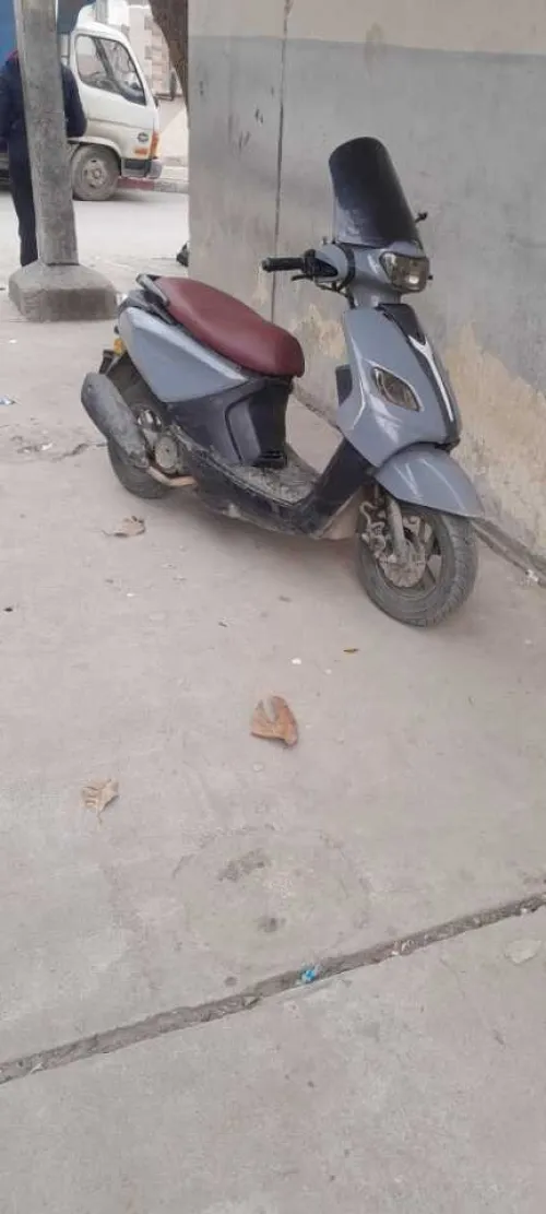 Joki Joki 2019