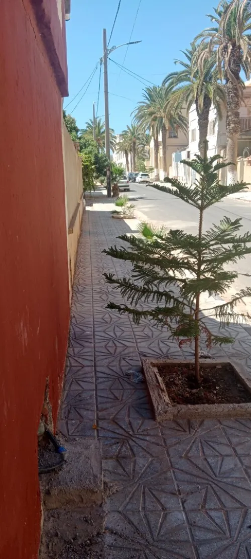 Location Appartement F2 F3 F4 Aïn Témouchent Beni saf