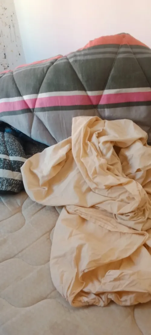 Location Appartement F2 F3 F4 Aïn Témouchent Beni saf