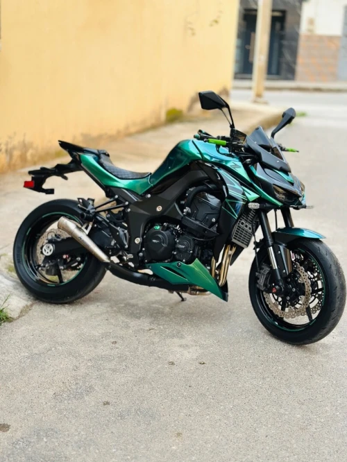 Kawasaki Z1000 2019