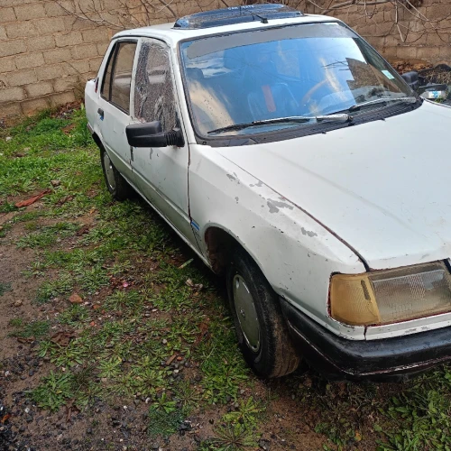 Peugeot 309 1989 309