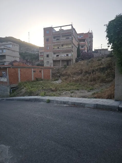 Vente Terrain Annaba Chetaibi 2