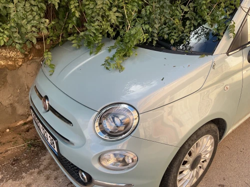 Fiat 500 2023 نسخة إيطالية