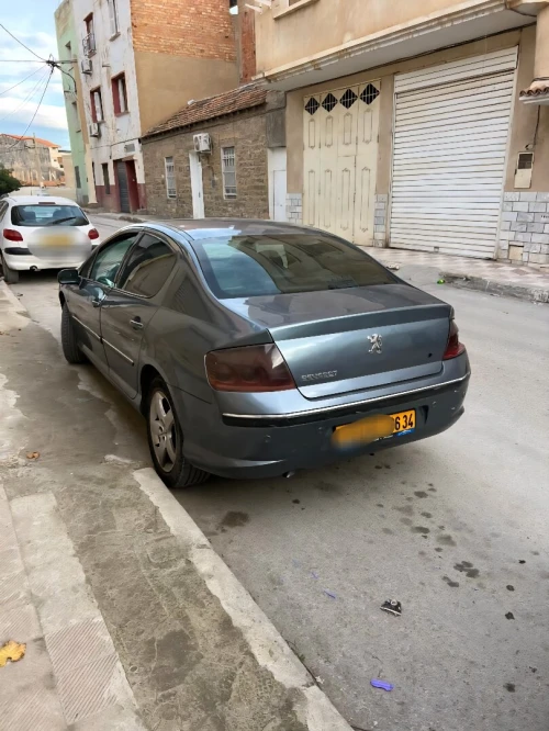Peugeot 407 2006 407