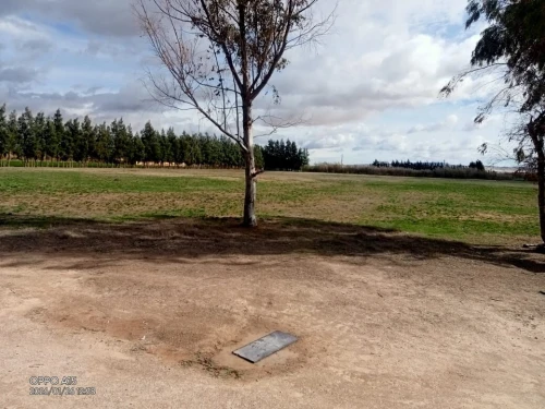 Vente Terrain Agricole M'Sila Maarif