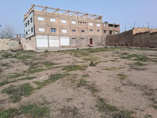 Location Hangar - Usine Tiaret Tiaret
