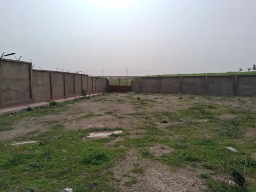 Location Hangar - Usine Tiaret Tiaret