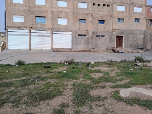 Location Hangar - Usine Tiaret Tiaret