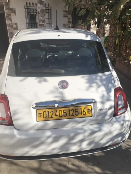 Fiat 500 2025 Cult MIB