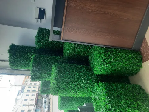 Grillage gazon vert