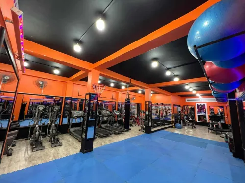 matériel de sport musculation
