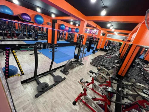 matériel de sport musculation