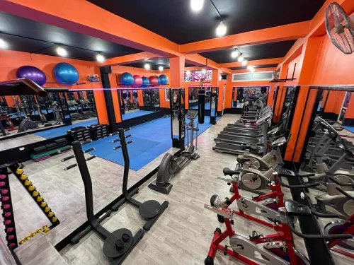 matériel de sport musculation